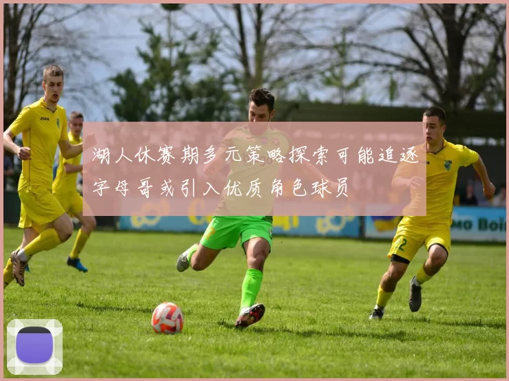 湖人休赛期多元策略探索可能追逐字母哥或引入优质角色球员